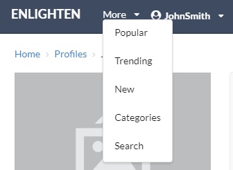 Enlighten UX/UI 2